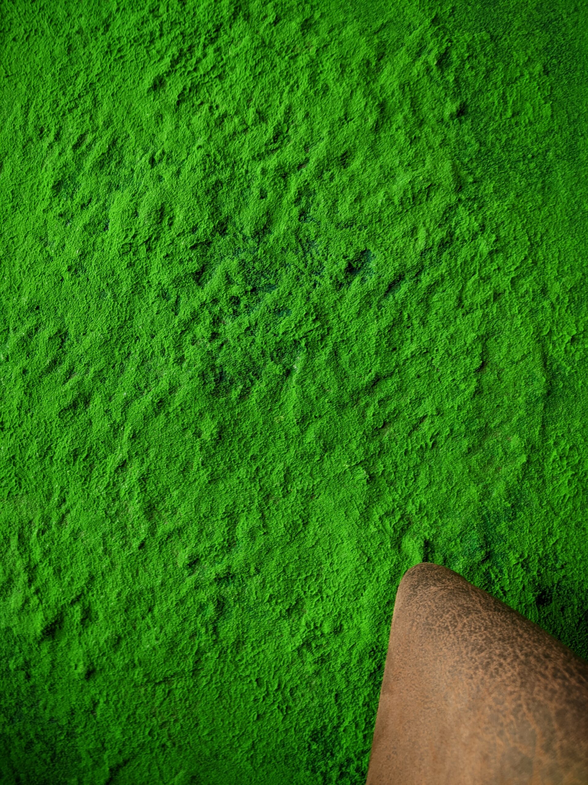 Tocco Minerale Leeds polished plaster venetian surface design green moss